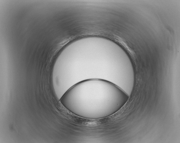 X0000116290068200911301001