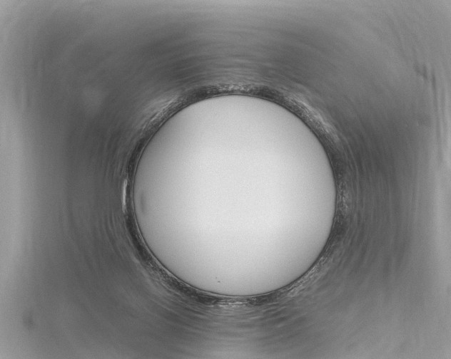 X0000116290070200911301001