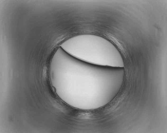 X0000116290071200911301001