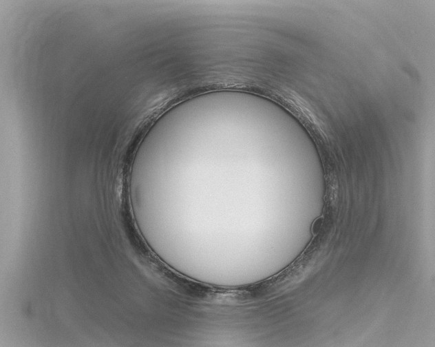 X0000116290072200911301001