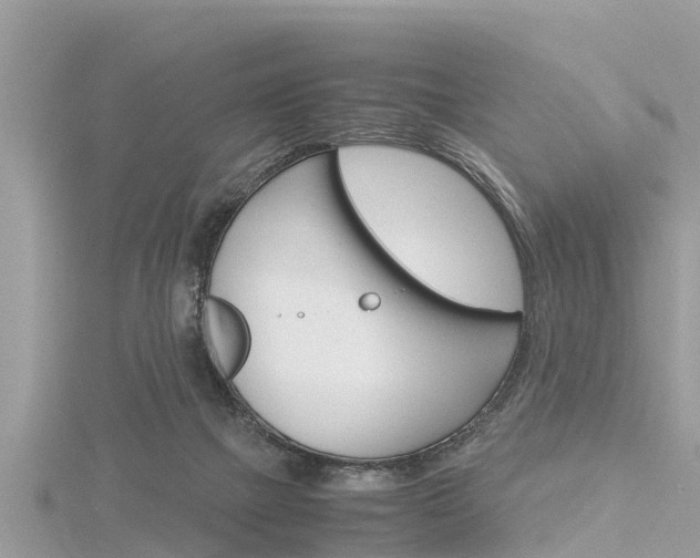 X0000116290073200911301002