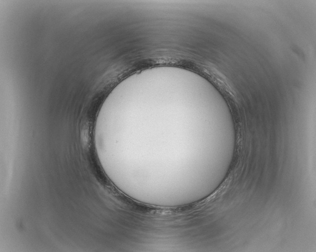 X0000116290074200911301002