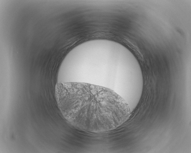 X0000116290075200911301002