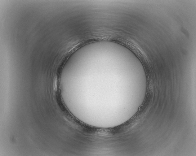 X0000116290076200911301002