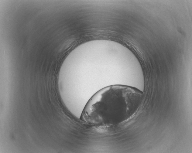 X0000116290078200911301002