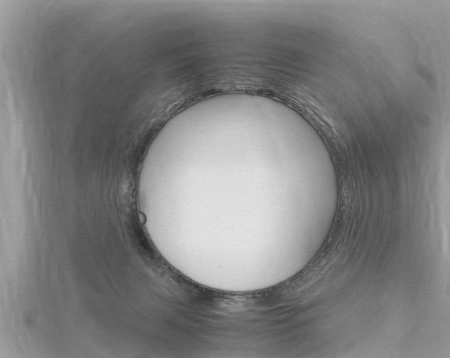 X0000116290079200911301002