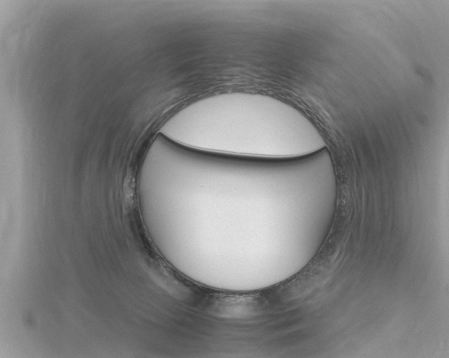 X0000116290081200911301002