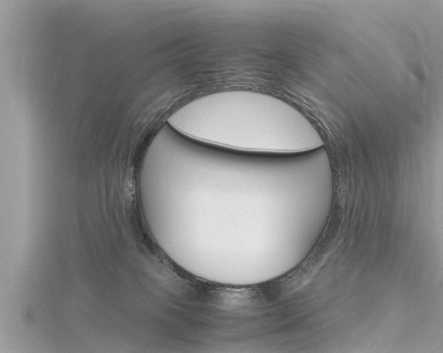 X0000116290085200911301002