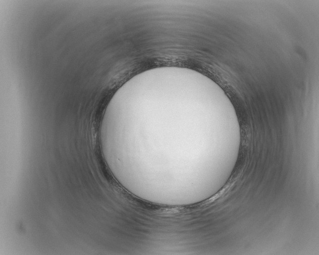 X0000116290086200911301002