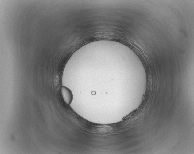 X0000116290087200911301002