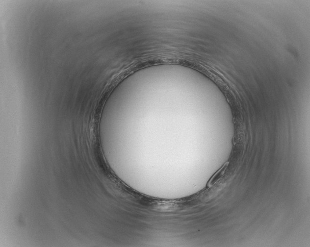 X0000116290088200911301002