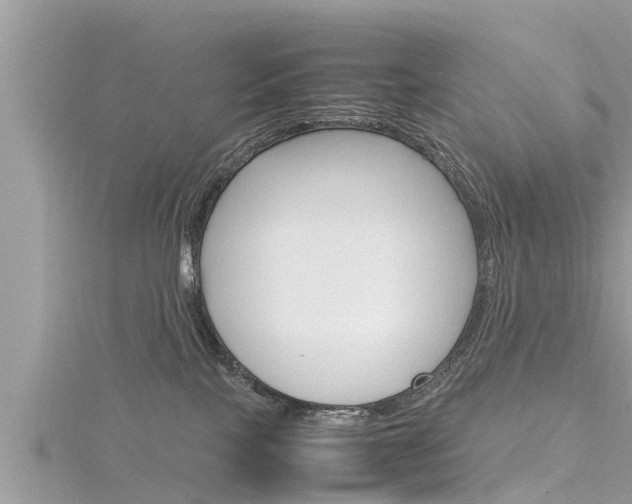 X0000116290089200911301002