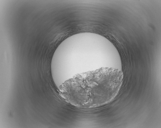 X0000116290090200911301002