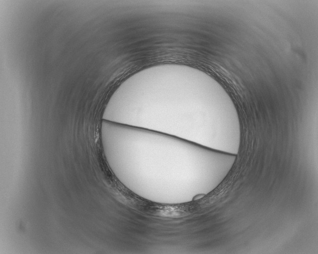 X0000116290091200911301002