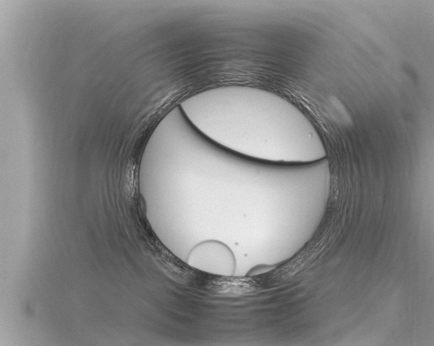 X0000116290093200911301002