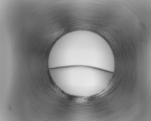 X0000116290094200911301002