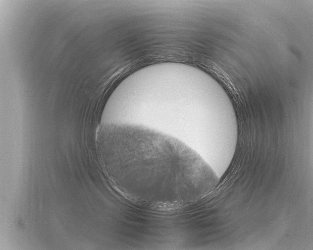 X0000116290095200911301002