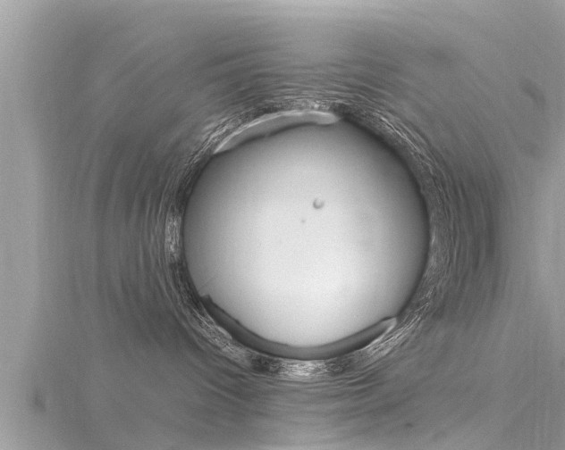 X0000116290096200911301002