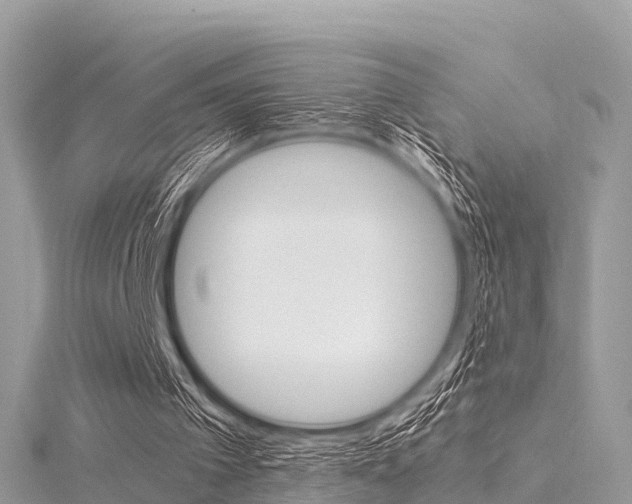 X0000116290097200911301001