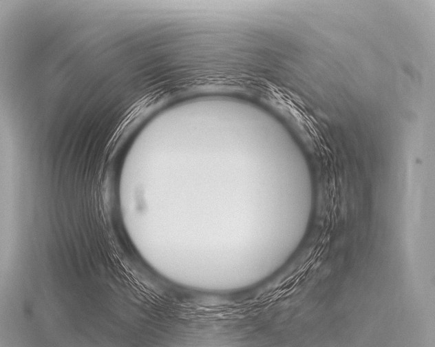 X0000116290098200911301001