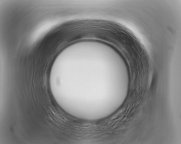 X0000116290099200911301001