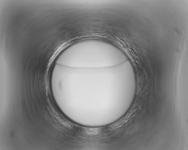 X0000116290102200911301001