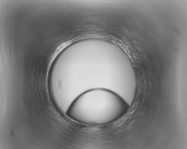 X0000116290104200911301001