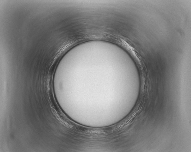 X0000116290106200911301001