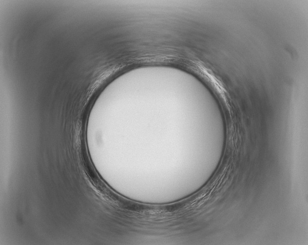 X0000116290107200911301001