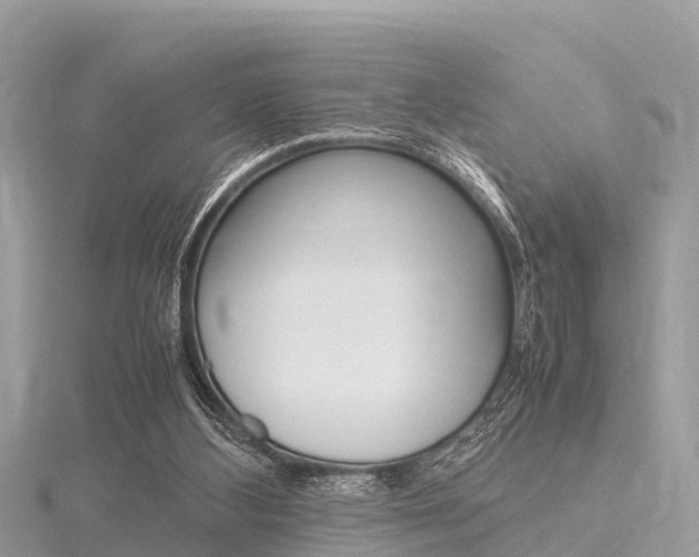 X0000116290108200911301001