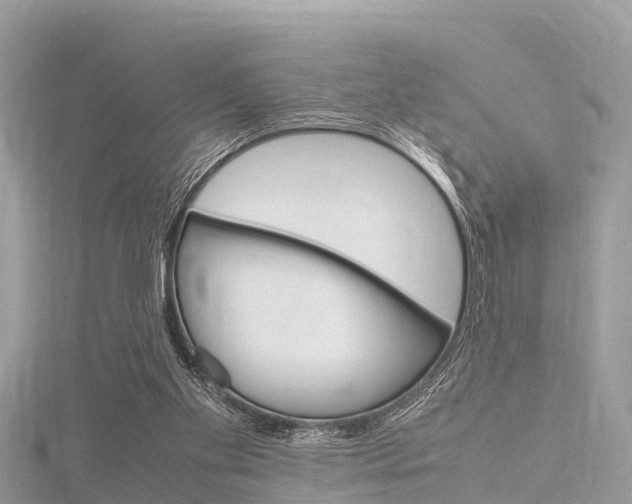 X0000116290109200911301001