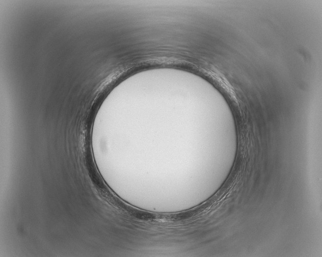 X0000116290111200911301001