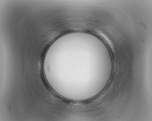 X0000116290113200911301001