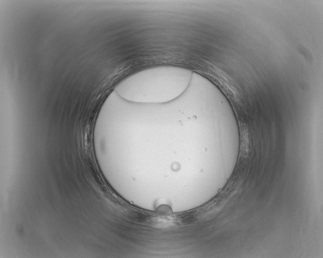 X0000116290118200911301001