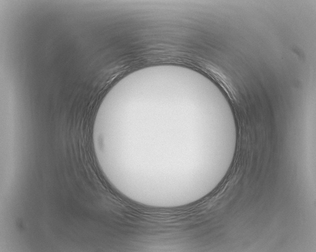 X0000116290121200911301001