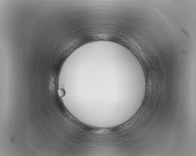 X0000116290122200911301001