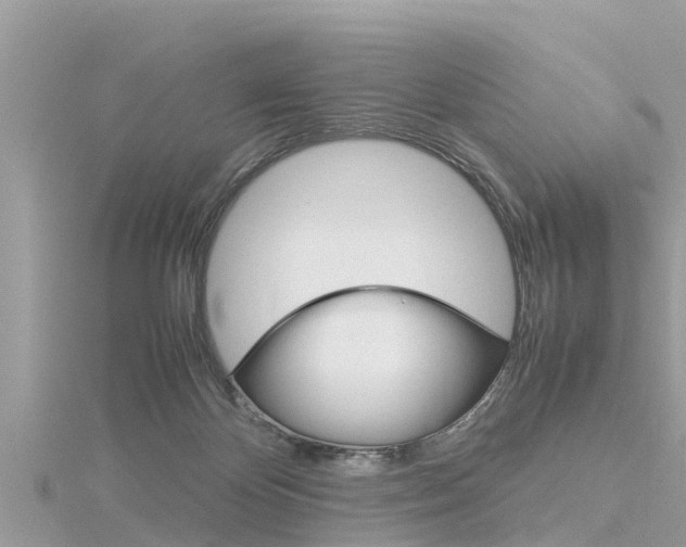 X0000116290124200911301001