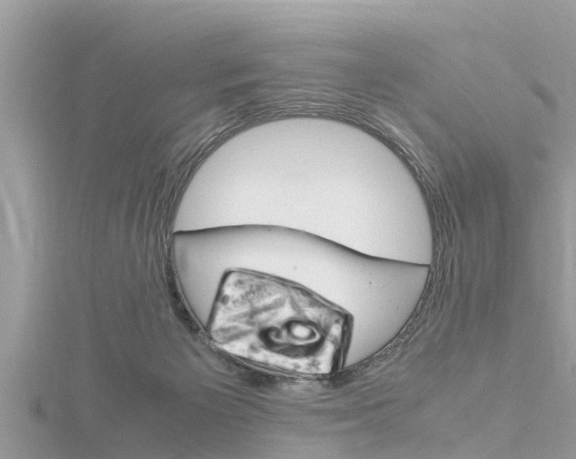 X0000116290125200911301001