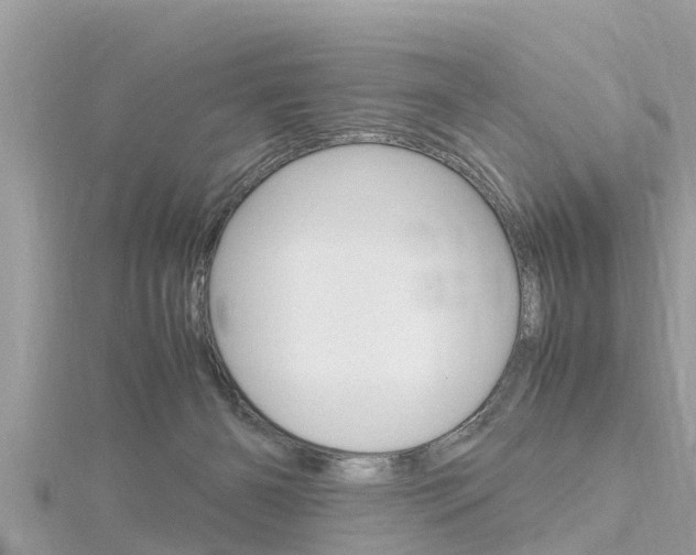 X0000116290126200911301001