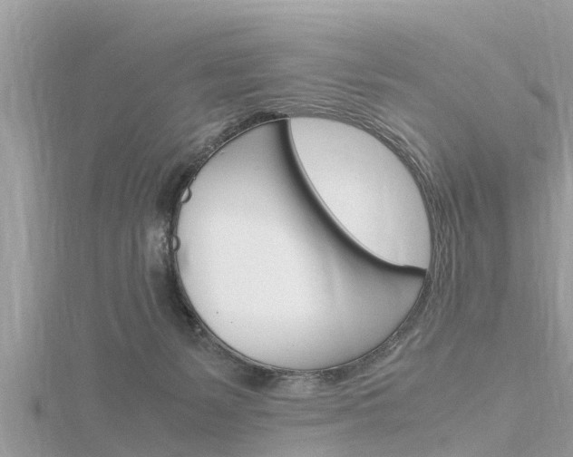 X0000116290127200911301001