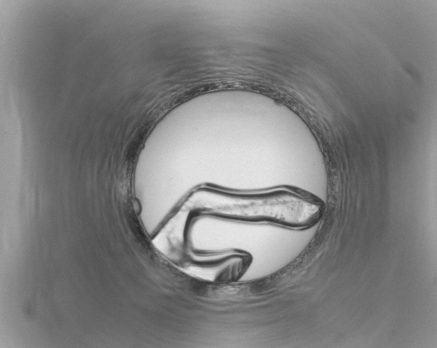 X0000116290129200911301001