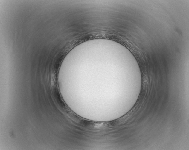 X0000116290130200911301001