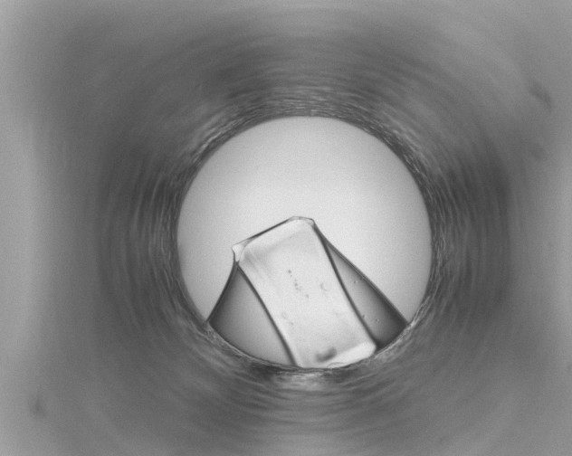 X0000116290132200911301001