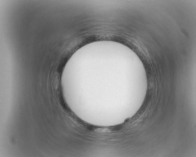 X0000116290133200911301001