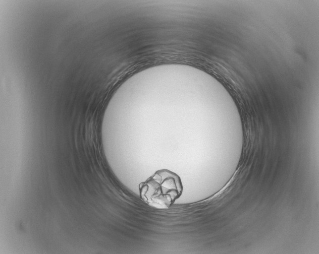 X0000116290136200911301001