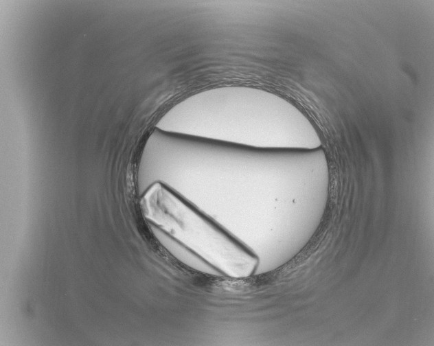 X0000116290137200911301001