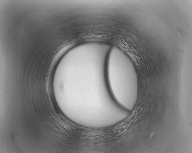 X0000116290147200911301000