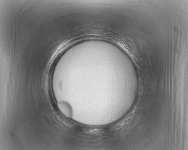 X0000116290151200911301000