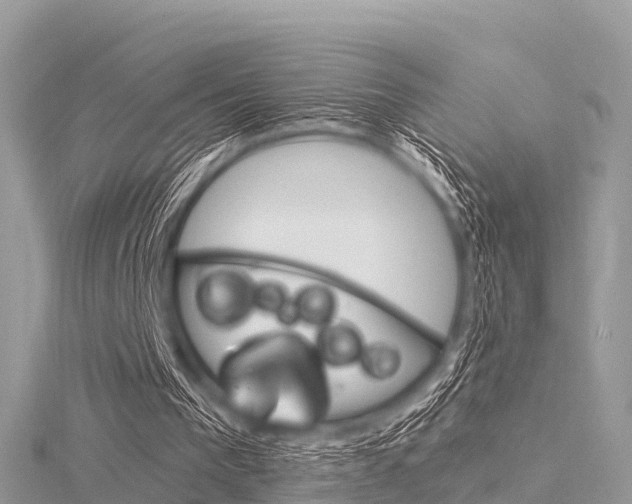 X0000116290193200911301000