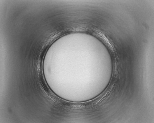 X0000116290202200911301000